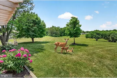 7047 Catalpa Road, Frederick, MD 21703 - Photo 48
