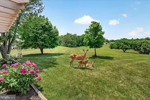 7047 Catalpa Rd, Frederick, MD 21703 - Photo 48