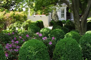 11 W 2nd St, Frederick, MD 21701 - Photo 12