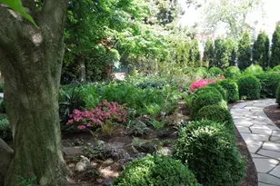11 W 2nd St, Frederick, MD 21701 - Photo 22