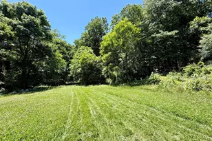 10121 Putman Rd, Frederick, MD 21702 - Photo 22