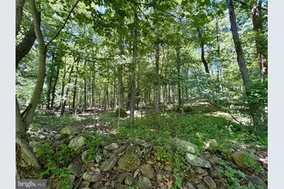 10121 Putman Road, Frederick, MD 21702 - Photo 20