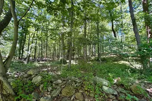 10121 Putman Rd, Frederick, MD 21702 - Photo 20