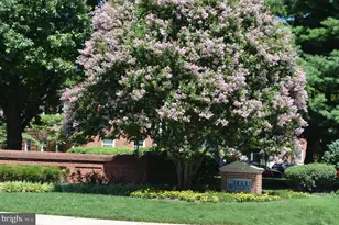 334 Park Ave, Frederick, MD 21701 - Photo 10
