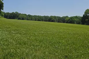 7900 Old Receiver Rd, Frederick, MD 21702 - Photo 24