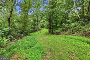11234 Wolfsville Rd, Myersville, MD 21773 - Photo 56