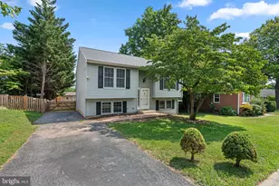 903 Chestnut St, Frederick, MD 21703 - Photo 2