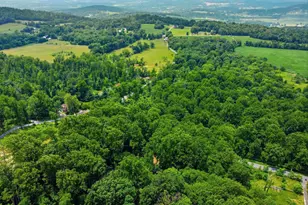 10611 Rum Springs Rd, Myersville, MD 21773 - Photo 48