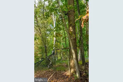 8700 Green Valley Road, Union Bridge, MD 21791 - Photo 12