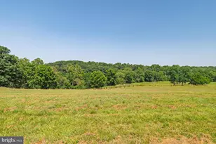3150 Bidle Rd, Middletown, MD 21769 - Photo 78