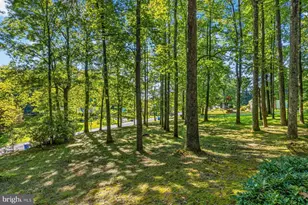 9034 Hamburg Rd, Frederick, MD 21702 - Photo 42