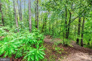 6838 Mountain Church Rd, Middletown, MD 21769 - Photo 48