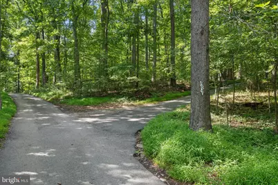 4840 Buffalo Road, Mount Airy, MD 21771 - Photo 106