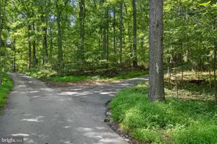 4840 Buffalo Rd, Mount Airy, MD 21771 - Photo 106
