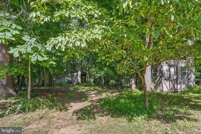 4840 Buffalo Road, Mount Airy, MD 21771 - Photo 86