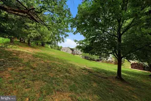 3313 Nicholas Ct, Ijamsville, MD 21754 - Photo 12