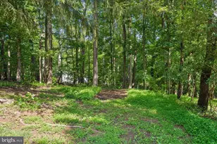 4946 Tall Oaks Dr, Monrovia, MD 21770 - Photo 68