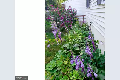 28 E E Street, Brunswick, MD 21716 - Photo 40
