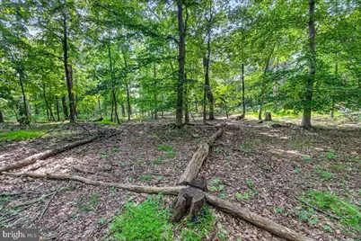[Address not provided], Emmitsburg, MD 21727 - Photo 106