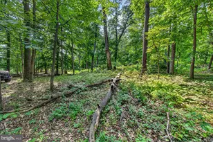 [Address not provided], Emmitsburg, MD 21727 - Photo 104