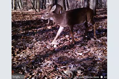 [Address not provided], Emmitsburg, MD 21727 - Photo 116
