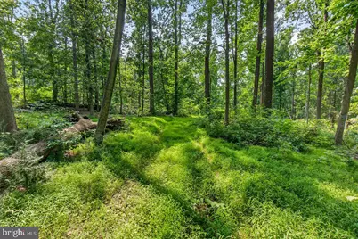 [Address not provided], Emmitsburg, MD 21727 - Photo 90
