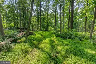 [Address not provided], Emmitsburg, MD 21727 - Photo 90