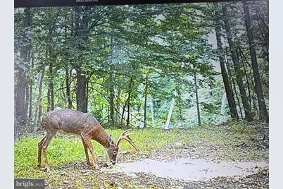 [Address not provided], Emmitsburg, MD 21727 - Photo 98