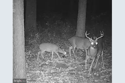 [Address not provided], Emmitsburg, MD 21727 - Photo 150