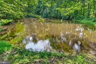 [Address not provided], Emmitsburg, MD 21727 - Photo 94