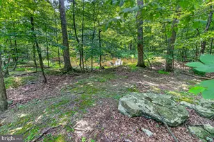 [Address not provided], Emmitsburg, MD 21727 - Photo 100