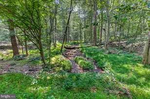 [Address not provided], Emmitsburg, MD 21727 - Photo 4