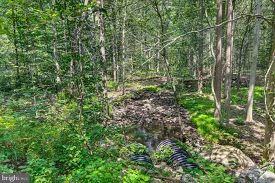 [Address not provided], Emmitsburg, MD 21727 - Photo 6