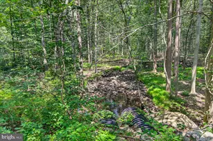 [Address not provided], Emmitsburg, MD 21727 - Photo 6