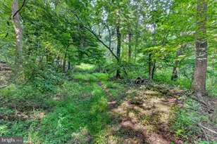 [Address not provided], Emmitsburg, MD 21727 - Photo 110