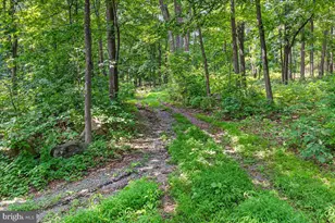 [Address not provided], Emmitsburg, MD 21727 - Photo 86
