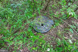 [Address not provided], Emmitsburg, MD 21727 - Photo 120