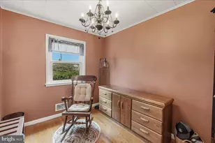 902 Pine Ave, Frederick, MD 21701 - Photo 14