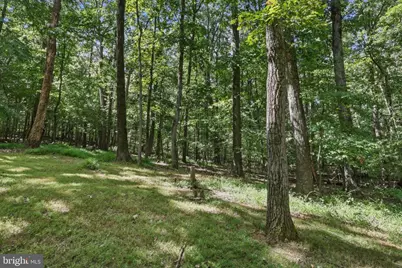 4404 Buffalo Road, Mount Airy, MD 21771 - Photo 16