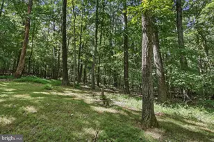 4404 Buffalo Rd, Mount Airy, MD 21771 - Photo 16