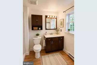 8 N Virginia Avenue, Brunswick, MD 21716 - Photo 20