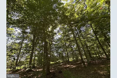 2014 Mount Ephraim Road, Adamstown, MD 21710 - Photo 2