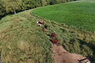 5550 Catholic Church Rd, Jefferson, MD 21755 - Photo 12
