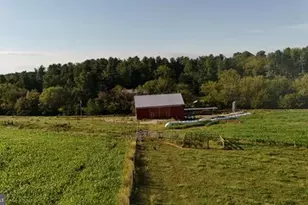 5550 Catholic Church Rd, Jefferson, MD 21755 - Photo 14