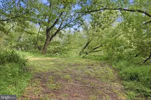 8613 Ramsburg Rd, Thurmont, MD 21788 - Photo 60