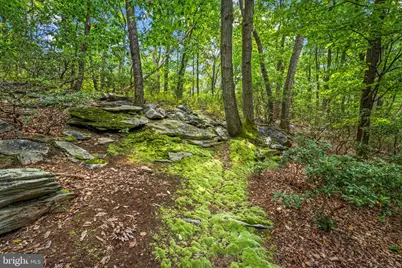 7407 Baltimore National Pike, Frederick, MD 21702 - Photo 44