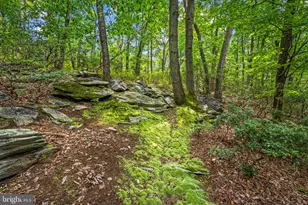 7407 Baltimore National Pike, Frederick, MD 21702 - Photo 44