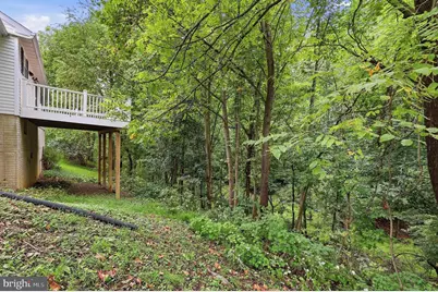908 Winding Way, Mount Airy, MD 21771 - Photo 48