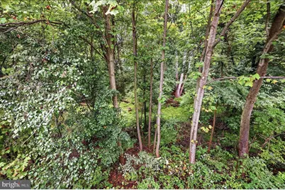 908 Winding Way, Mount Airy, MD 21771 - Photo 32