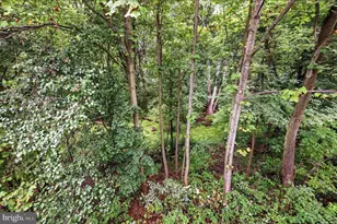 908 Winding Way, Mount Airy, MD 21771 - Photo 32